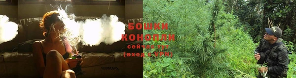 эйфоретик Семикаракорск