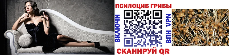 Псилоцибиновые грибы GOLDEN TEACHER  где купить   Бирюч 